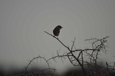 2011 10 27_2143.jpg