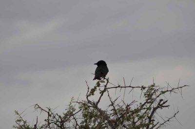 2011 10 27_2146.jpg