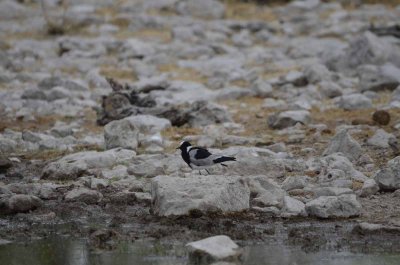 2011 10 27_2210.jpg