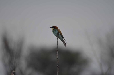 2011 10 27_2242.jpg