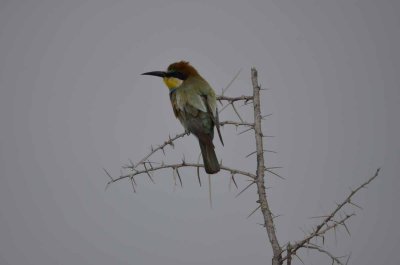 2011 10 27_2256.jpg