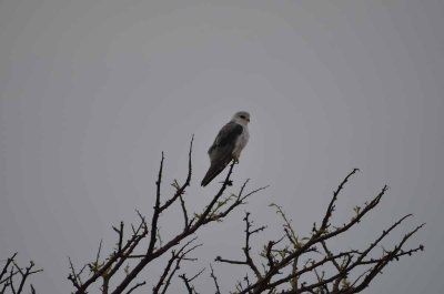 2011 10 27_2316.jpg