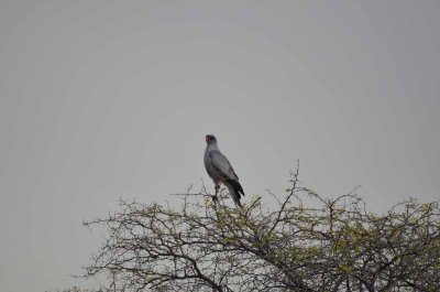2011 10 27_2368.jpg