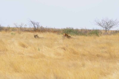 2011 10 27_2452.jpg