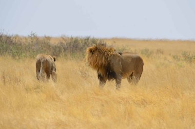 2011 10 27_2481.jpg