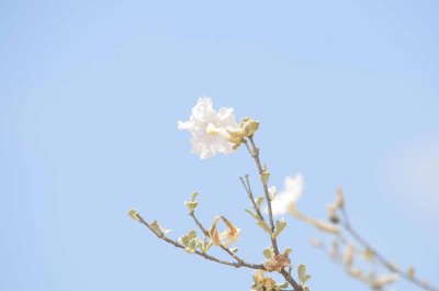 2011 10 27_2489.jpg