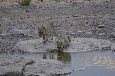 2011 10 27_2539.jpg