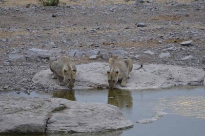 2011 10 27_2540.jpg