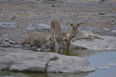 2011 10 27_2564.jpg