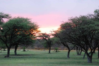 2011 10 27_Div_0235.jpg