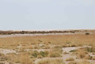 2011 10 27_Div_0310.jpg