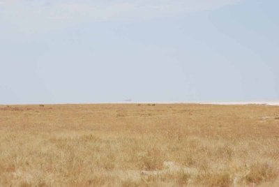 2011 10 27_Div_0313.jpg