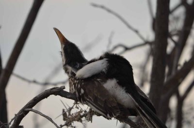 2011 10 28_1008.jpg