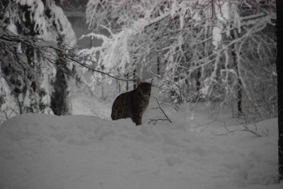 2012 01 09_Neu Schnau_0148.jpg