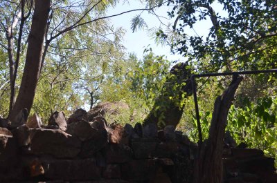20120430131418Madikwe00252.jpg