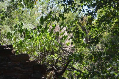 20120430131624Madikwe00267.jpg