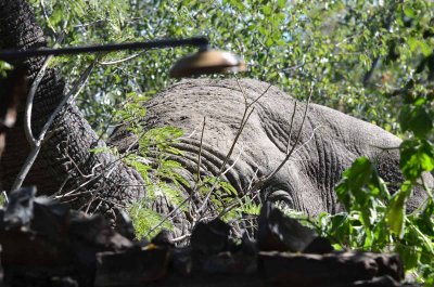 20120430131824Madikwe00024.jpg