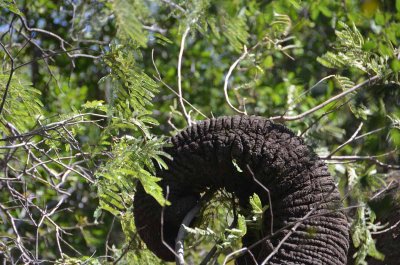 20120430131832Madikwe00288.jpg