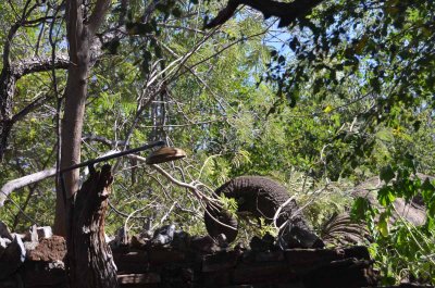 20120430131906Madikwe00302.jpg