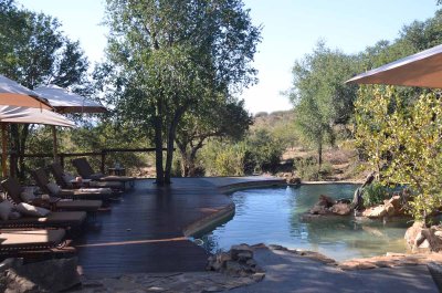 20120430151738Madikwe00500.jpg