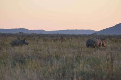 20120430173926Madikwe00430.jpg
