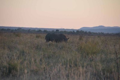 20120430173954Madikwe00606.jpg