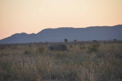 20120430174004Madikwe00608.jpg