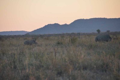 20120430174008Madikwe00611.jpg