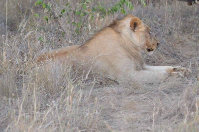 20120430174748Madikwe00452.jpg