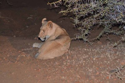 20120430191848Madikwe00496.jpg