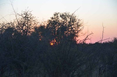 20120501063834Madikwe00630.jpg