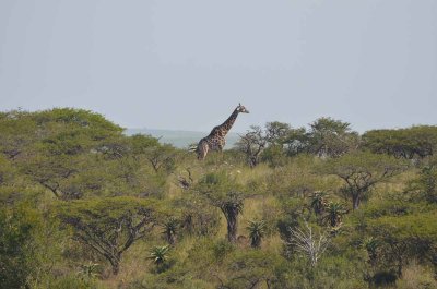 20120504133820Pietermaritzburg00759.jpg