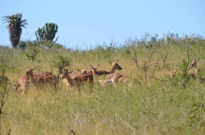 20120504134944Pietermaritzburg00243.jpg