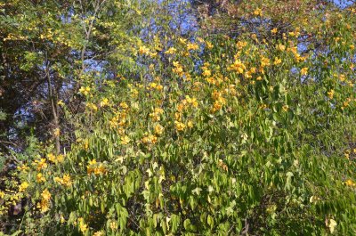 20120504153922Pietermaritzburg00830.jpg
