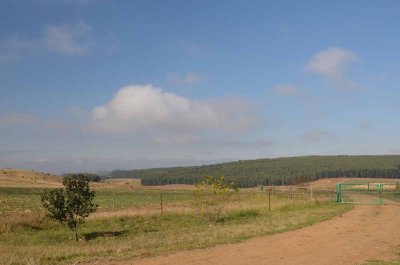 20120505091532Pietermaritzburg00177.jpg