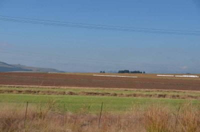 20120505092152Pietermaritzburg00181.jpg