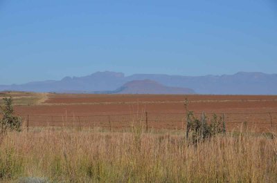 20120505092208Pietermaritzburg00184.jpg