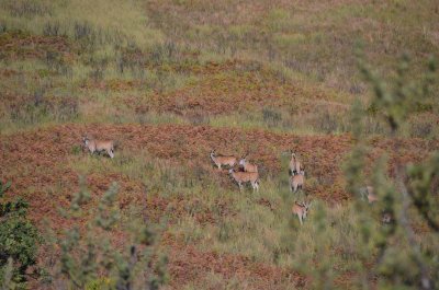 20120505103036Pietermaritzburg00233.jpg