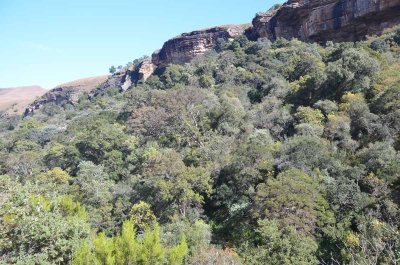 20120505104650Pietermaritzburg00262.jpg