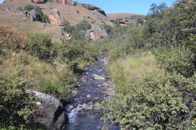 20120505114816Pietermaritzburg00339.jpg