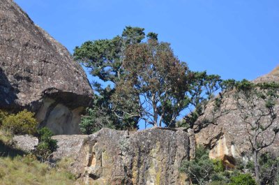 20120505115630Pietermaritzburg00106.jpg