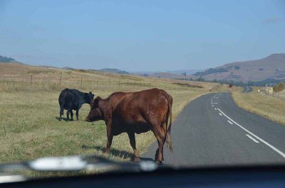 20120505130232Pietermaritzburg00368.jpg