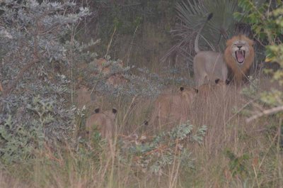 20120506172304Pietermaritzburg00493.jpg