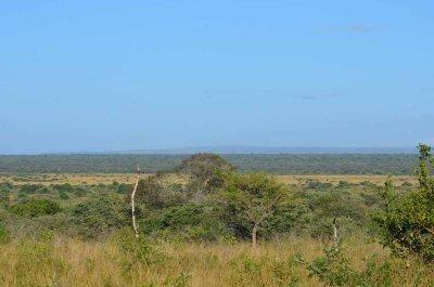 20120508080418Phinda00063.jpg