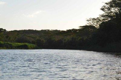 20120508162442Phinda00574.jpg