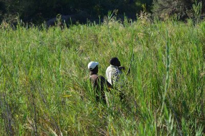 20120513084514Kirkmanns00510.jpg