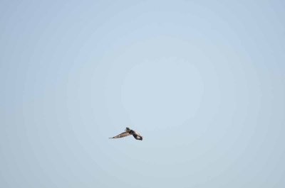 20120513085900Kirkmanns00152.jpg