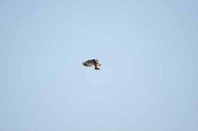 20120513085906Kirkmanns00166.jpg