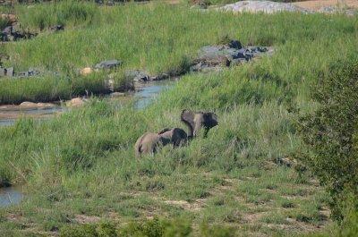 20120513145906Kirkmanns01281.jpg