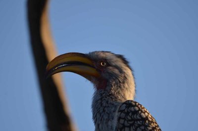 20120513163434Kirkmanns01553.jpg